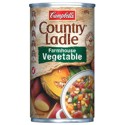 Country Ladle Farm Vegetable 495g x 1