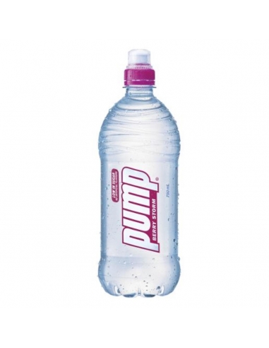 Pump Berry Water 750ml x 1