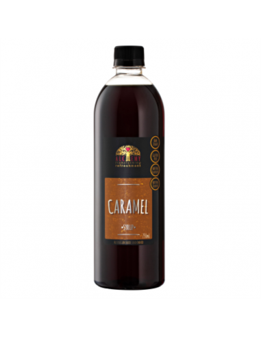 Alchemy Syrup Karamel 750 ml fles