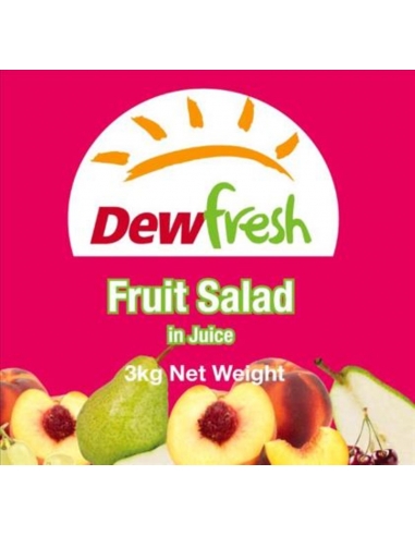 Dewfresh Ensalada de frutas en Jugo 3 Kg Can