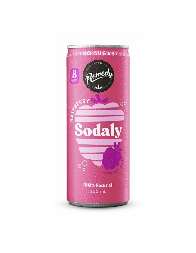 Remedy Sodaly Raspberry 250ml 12