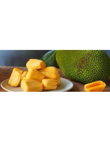 John Bull Jackfruit Młode Owoce W Solance 2,9 Kg Puszka