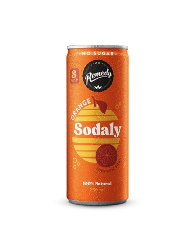 Remedy Sodaly arancione 250ml x 12