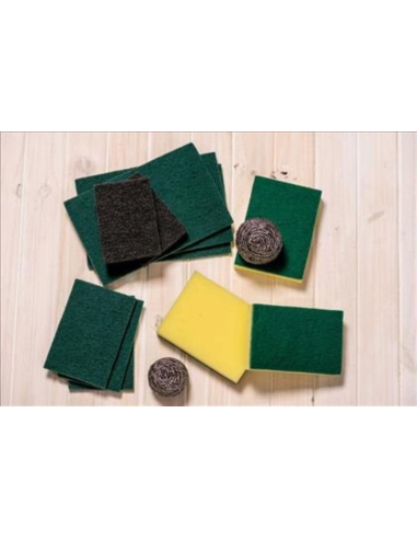 Cater Clean Scourer Green 150 by 100mm 10 Pack x 1