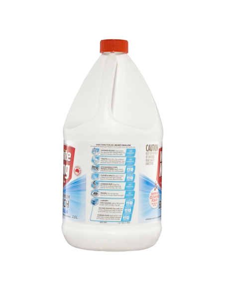 Zwykły wybielacz wszechstronny 2,5 ltr x 1