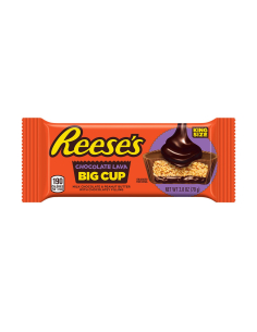 Reeses Grosse tasse de lava king 79g x 16