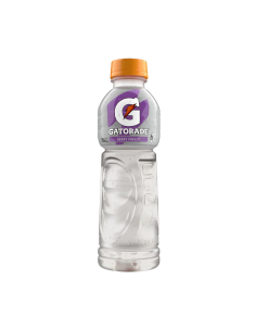 Gatorade Berry bevriezen 600 ml x 12