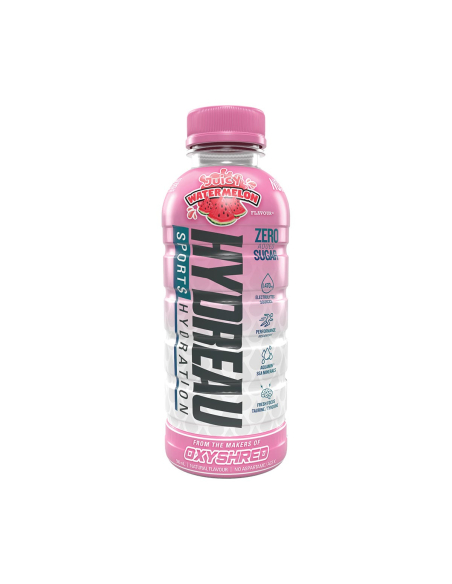 Seyau Sports Getränk Saftiger Wassermleon 500ml x 12