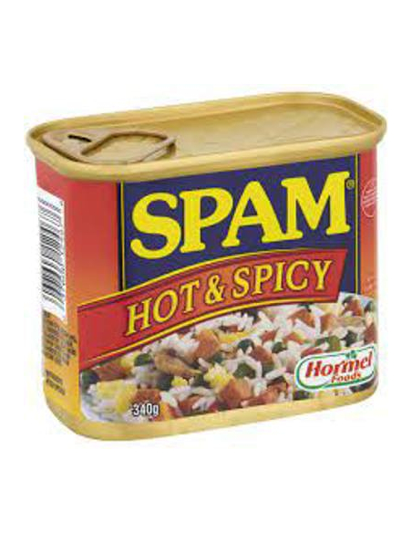 Spam Ham Spiced 340g x 1