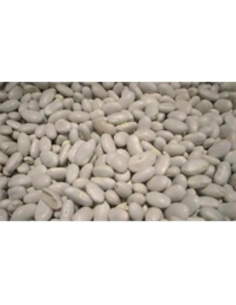 Trumps Beans Great Northern（Cannelini）1kg x 1