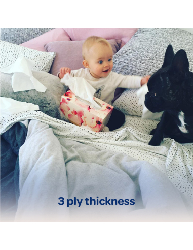 Kleenex Tessuti eucalipt 95 pack x 1