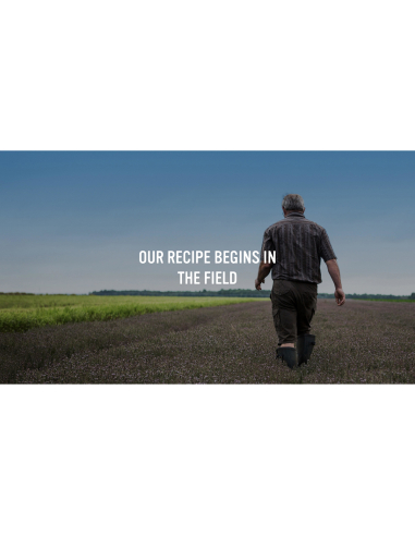 Continental Soupe de paquets Français oignon 40g x 1