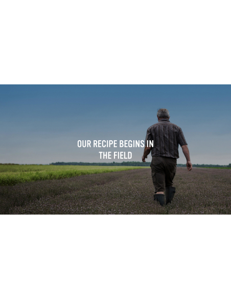 Continental Zupa pakietów francuski cebula 40g x 1