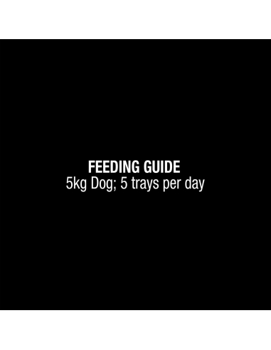 My Dog Gourmet Rindfleisch 100g x 1