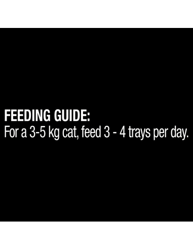 Dine Turkey In Gravy 85g x 1