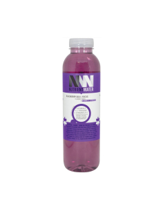 Nutrient Water Focus 575ml x 12