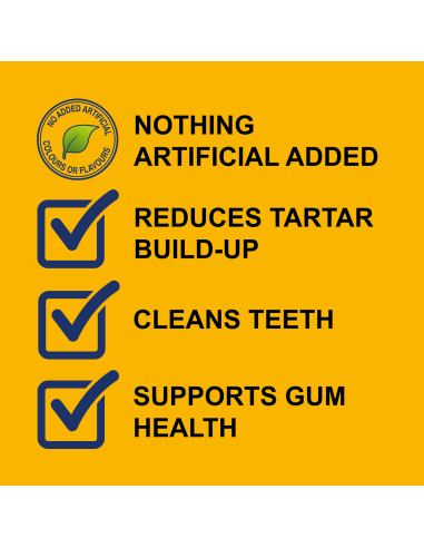 Dentastix großer Hund 270g x 1