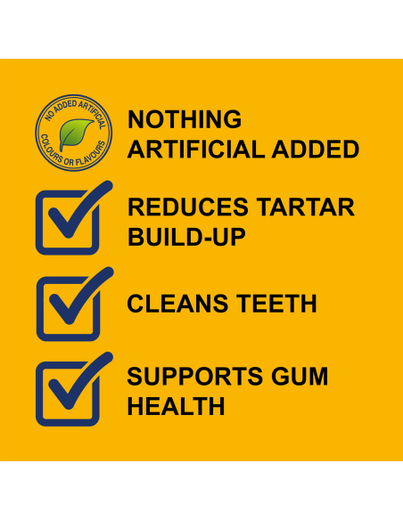 Dentasix Grand chien 270g x 1