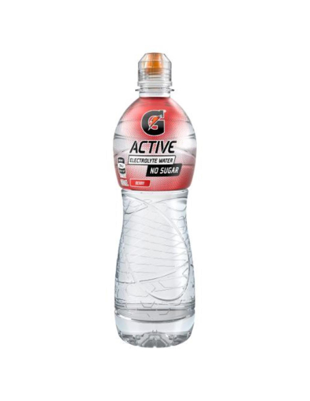 Gatorade Boisson de sport Berry G-actif 600ml x 1
