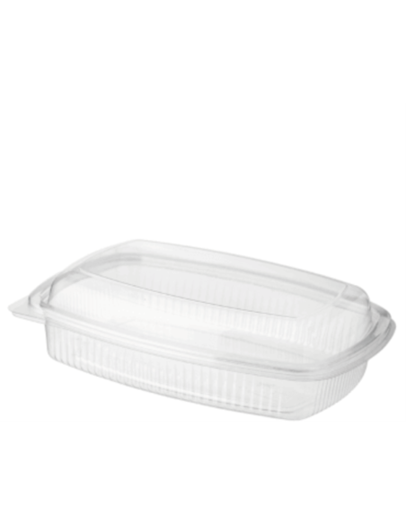 Cast Away Eco-Smart-mittlere rechteckige Mittagessen-Container 25s x 1