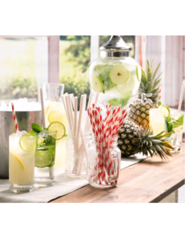 Caterers Choice Straws Paper Bamboo Patterned Jumbo Wrapped 250 Pack x 1