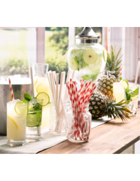 Caterers Choice Straws Paper Bamboo Patterned Jumbo Wrapped 250 Pack x 1