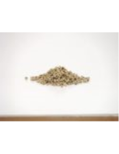 Caterers Choice Peppercorns White Hele 1 kg x 1