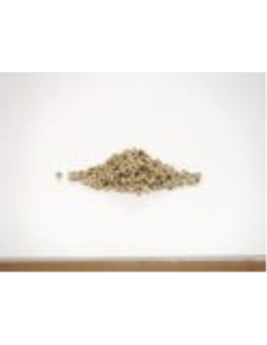 Caterers Choice Peppercorns White Whole 1 kg x 1