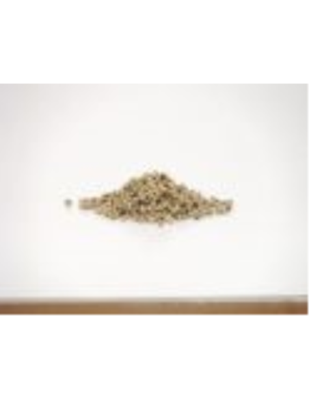 Caterers Choice Pfefferkörner weiß ganz 1 kg x 1