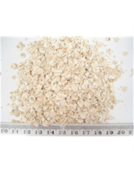 Trumps Oatsクイッククック10キロx 1