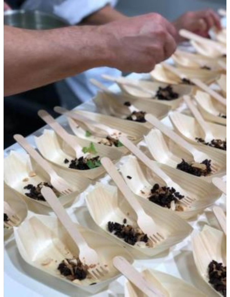 Ecostyle Łódź sosnowa z drewna 65 o 45 o 20 mm 100 opakowania x 1