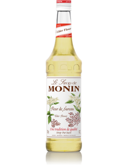 Monin Sirop d'euros de 700 ml x 1