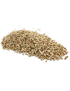 Trumps Buckwheat Kernels Raw 5kg x 1