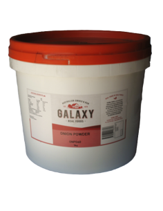 Galaxy Onion Powder 5kg x 1