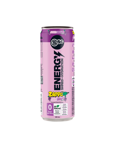 平衡计分卡 Energy 碎片水合 Zappo 酸葡萄糖免版税355ml x 12