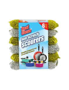 Real Clean Non Scratch Scourer x 6