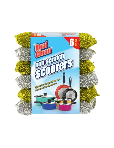 Real Clean Non Scratch Scourer x 6