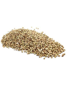 Trumps Buckwheat Kernels Raw 5kg x 1