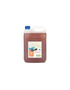Cater Clean Disinfectant Pine 5ltr x 1